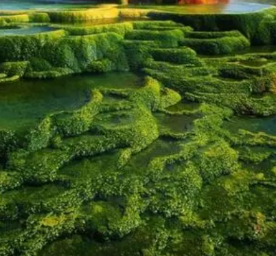 地球上的十大秘境在什么地方？有什么美誉存在？