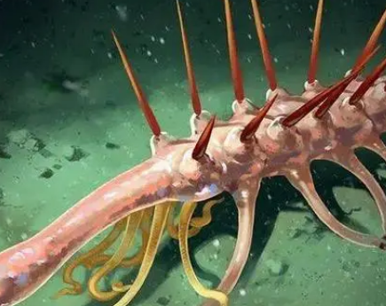 稀奇古怪的古生物是什么？分别有哪些特征存在？