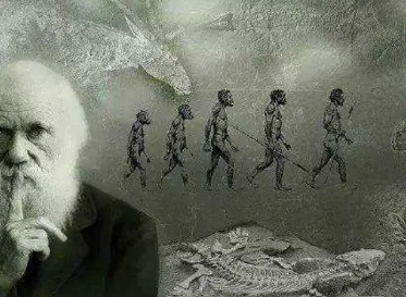 导致人类进化的原因是什么？影响因素有哪些？