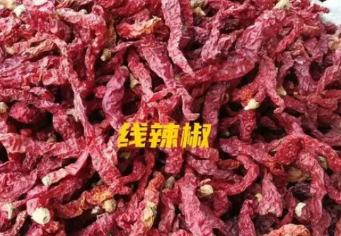 辣椒是什么？十大用途是什么？