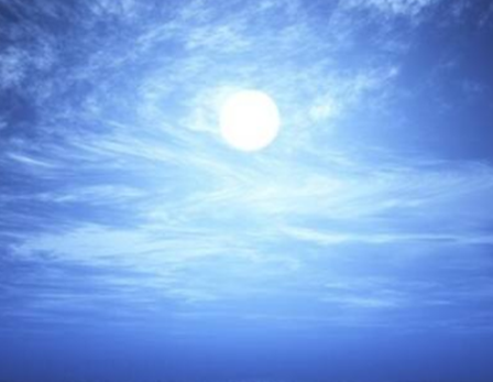  在夜晚盛开的鲜花是什么？有什么生活习性？