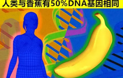  人体奥秘是什么样的？有哪些你所不知道的事？