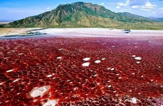  世界上最奇特的湖泊是什么？是什么地貌？
