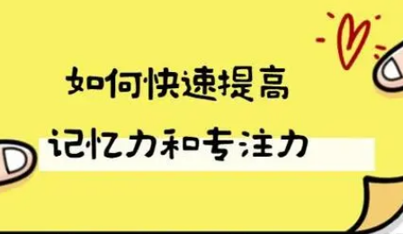 提高记忆力的方法有哪些？具体需要怎么作？