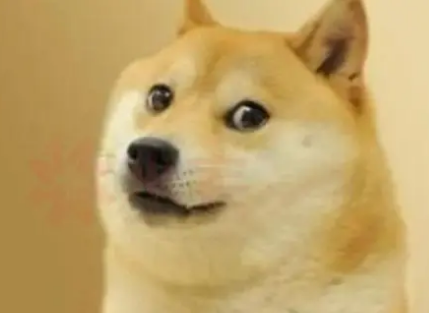 世界上的奇葩的开支有哪些？有多奇葩？