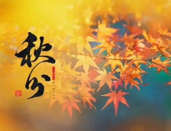 有哪些关于秋分的诗句？关于秋分的谚语有哪些？