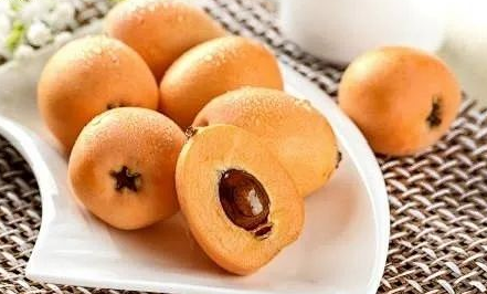 把枇杷包起来的原因是什么？有什么原理？
