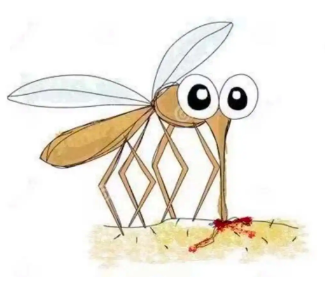 蚊子属于什么类动物？蚊子简介