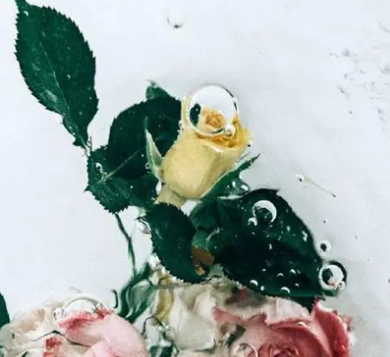  泰戈尔10句美到极致的句子是什么？是什么出处？