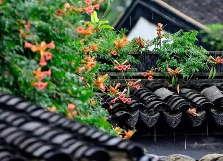  齐民要术是什么样的？主要思想是什么？