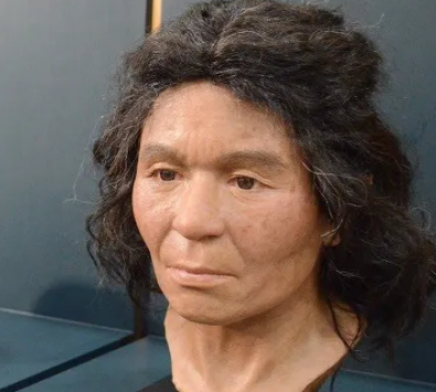 绳文人有什么历史?属于什么人种?