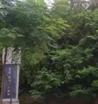 杜邮是什么地方?是现在的什么省份？