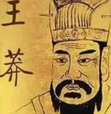 王莽改制推行禁二字名：权力与文化的双重考量