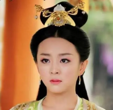 杨丽华：一个历史人物的真实面貌与人生轨迹