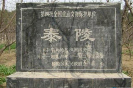 杨坚的登上帝位之路与陵墓之谜