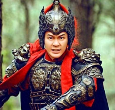 张士贵被黑的背后原因