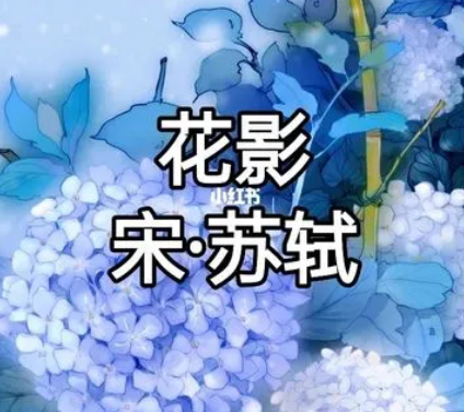 赏析苏轼花影——诗中之画，画中之诗