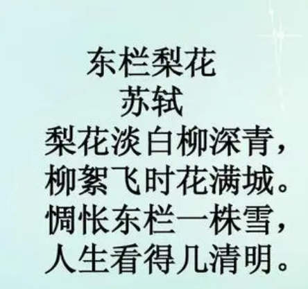 赏析东栏梨花——感受古人的诗意人生