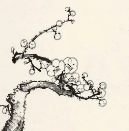 赏析陈亮梅花的独特魅力，都有几个方面？