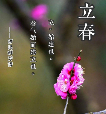 汉宫春·立春日全文及赏析，全文内容是什么？
