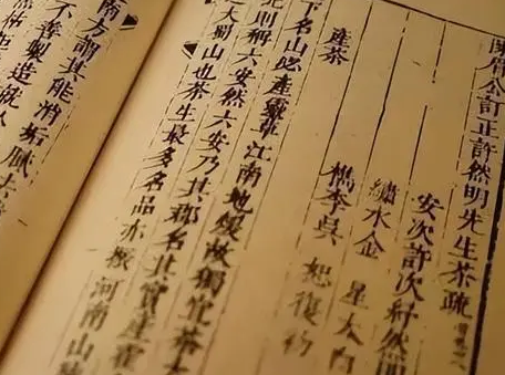 元祐更化：历史背景下的变革与内容