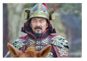 宋朝后期的将领都是哪些人？赵匡胤在收回兵权后靠的是谁？