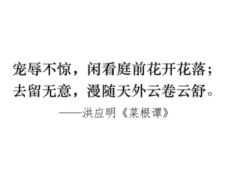 洪应明的人生经历：从平凡到非凡的跨越
