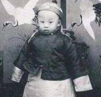 溥仪退位后的皇宫生活：权力的丧失与尊严的维护