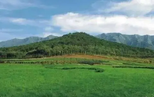 秦始皇陵是什么样的：神秘的地下宫殿与宏大的规模