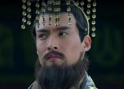 卫国：秦始皇的未触及之地
