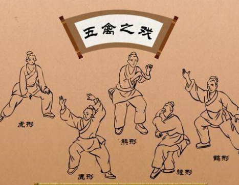 华佗创编的五禽戏有什么特点？是哪五禽？
