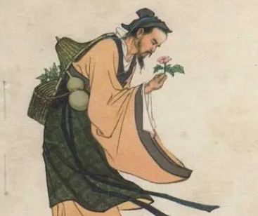 华佗的子女们：揭秘古代名医的家庭故事