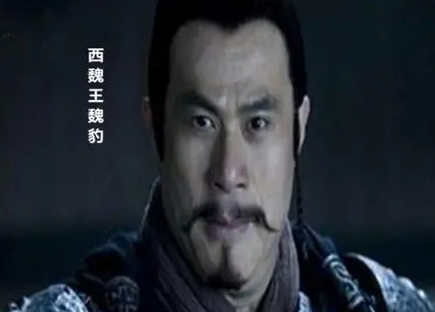 魏豹的一生：结局与年龄