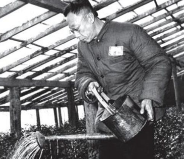从皇帝到园丁：溥仪解放后的生活