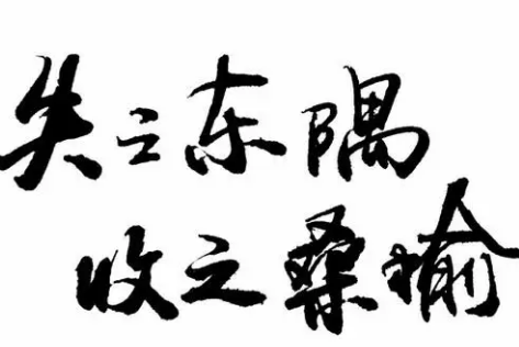 失之东隅，收之桑榆——从失败中寻找成功的契机