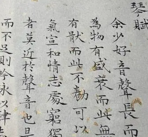 文徵明书法琴赋欣赏，在什么背景下创作的？