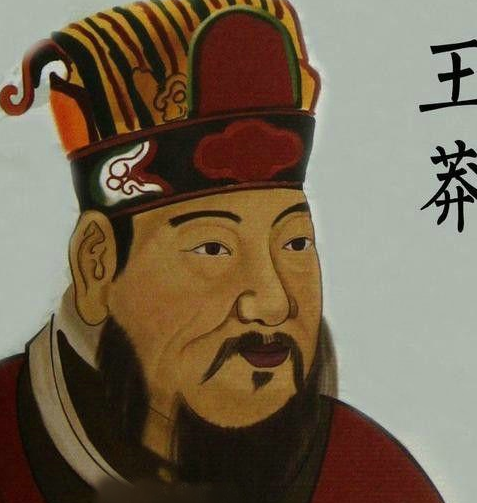王莽篡汉，新朝的崛起与西汉的落幕