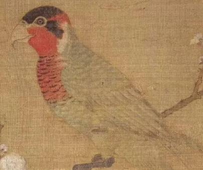 鹦鹉与皇帝的奇妙缘分——宋高宗赵构晚年趣闻