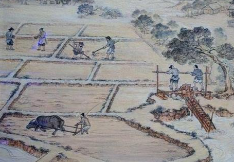唐朝农业发展状况——盛世繁荣的基石