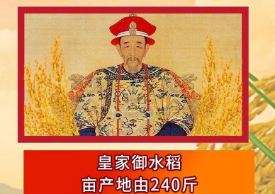 康熙御稻米，皇家之选，品质之选