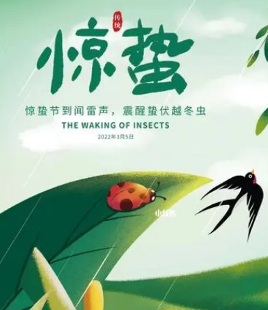 惊蛰节气，这些美食你不能错过！