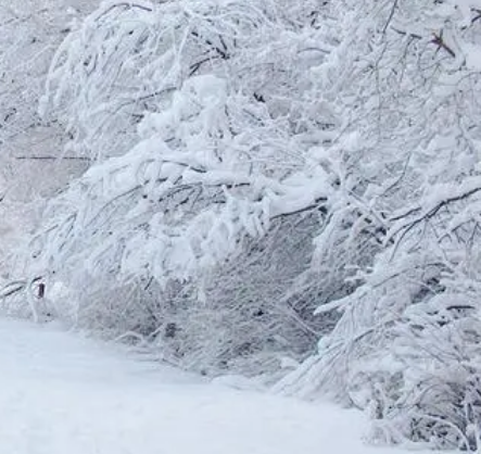 大雪之后，天空还会再次洒下雪花吗？