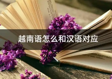 探索越南语与汉语的紧密联系