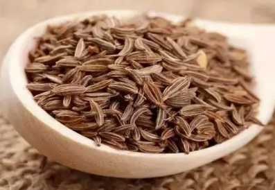 /mingxing/a530631.html