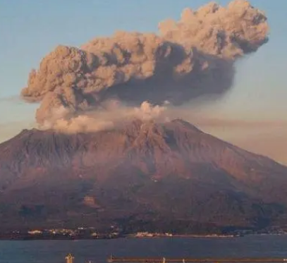 /mingxing/a530646.html