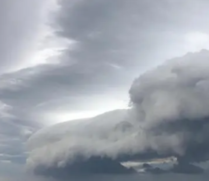 /mingxing/a530690.html