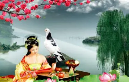 /mingxing/a530696.html