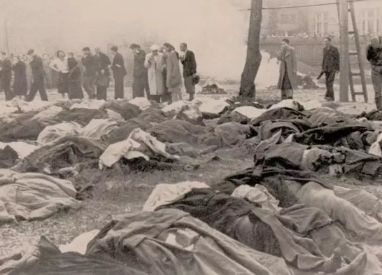 /mingxing/a530990.html