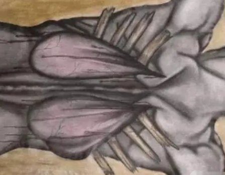 /mingxing/a531115.html