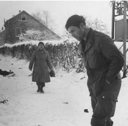 /mingxing/a531239.html